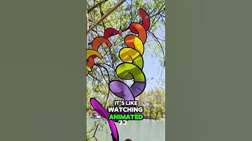 Mesmerizing Wind Flags! Like Real-Life Animation