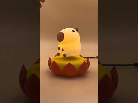 Capybara Floating Night