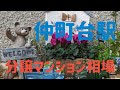港北ニュータウン『仲町台』の分譲マンション相場 2024年4月編