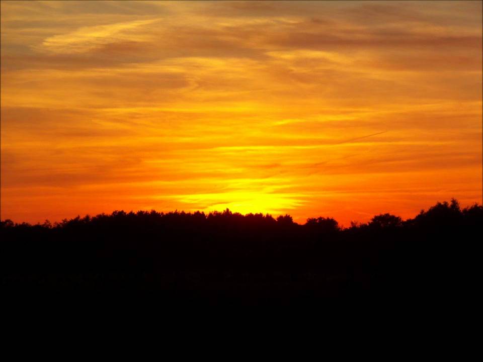 Alexander Warenberg - Adagio (Original recording) 4