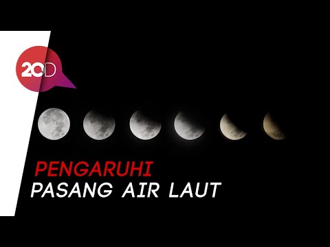 Gerhana Bulan Penumbra Terjadi 11 Januari di Indonesia