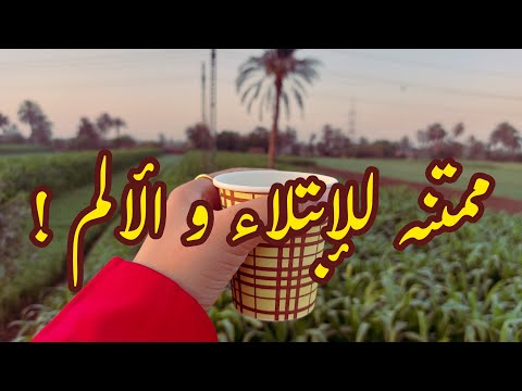 لو مهموم أتفرج على الفيديو ده