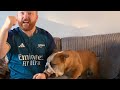 North london derby watch along with diego  lets keep it a friendly rivalry  bulldogpabs