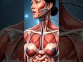 Operation Theater Endoscopy | Stomach Ulcer Check #shorts #facts #doctor #biology #anatomy