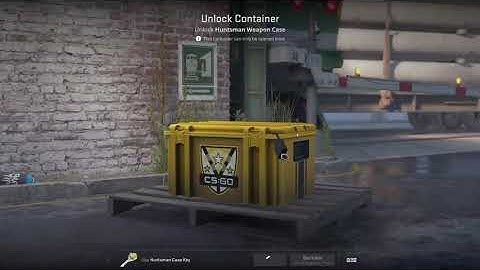 Opening a case EVERY DAY until I unbox a GOLD Day #45