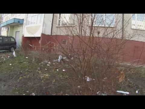 «Живем как на свалке»: в Гомеле на ул. Героев Подпольщиков уже неделю не работают дворники