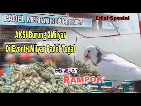 Edisi Spesial ;RAMPOK' Beraksi di Event 1 Milyar Kolong Padel Tegal