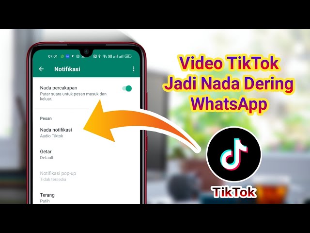 Cara Menjadikan Video Tiktok Sebagai Nada Dering WhatsApp Tanpa Aplikasi class=