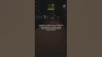 تلاوة خاشعة لآيات من كتاب الله #القرآن_الكريم #القرآن #الله #اكسبلور #foryou #راحة_نفسية #viral #fyp