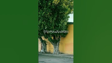 سورة ق الشيخ ياسر الدوسري #ياسر_الدوسري #اكسبلور #فولو