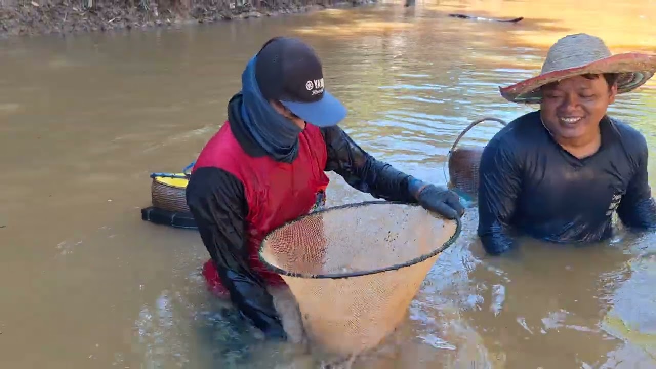 หมายนี้‼️หมานกว่าเก่า ปลารากกล้วยหลายคัก9ธ.ค.68