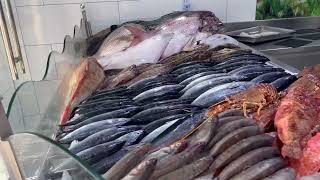 أنواع الاسماك في الجزائر مع أسماء كل نوع مشاء الله