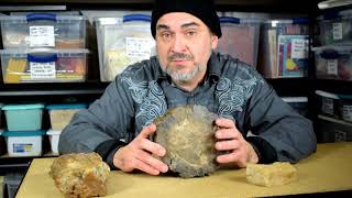 Big Profit Item! Selling Rocks on eBay? Petrified Wood Haul