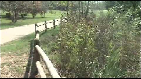 Riparian Buffers for Protecting Water Quality