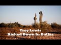 Trey Lewis - Dicked Down In Dallas [1-hour]