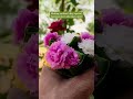Mini Flower Bouquet DIY #mothersday #diygiftidea #shorts
