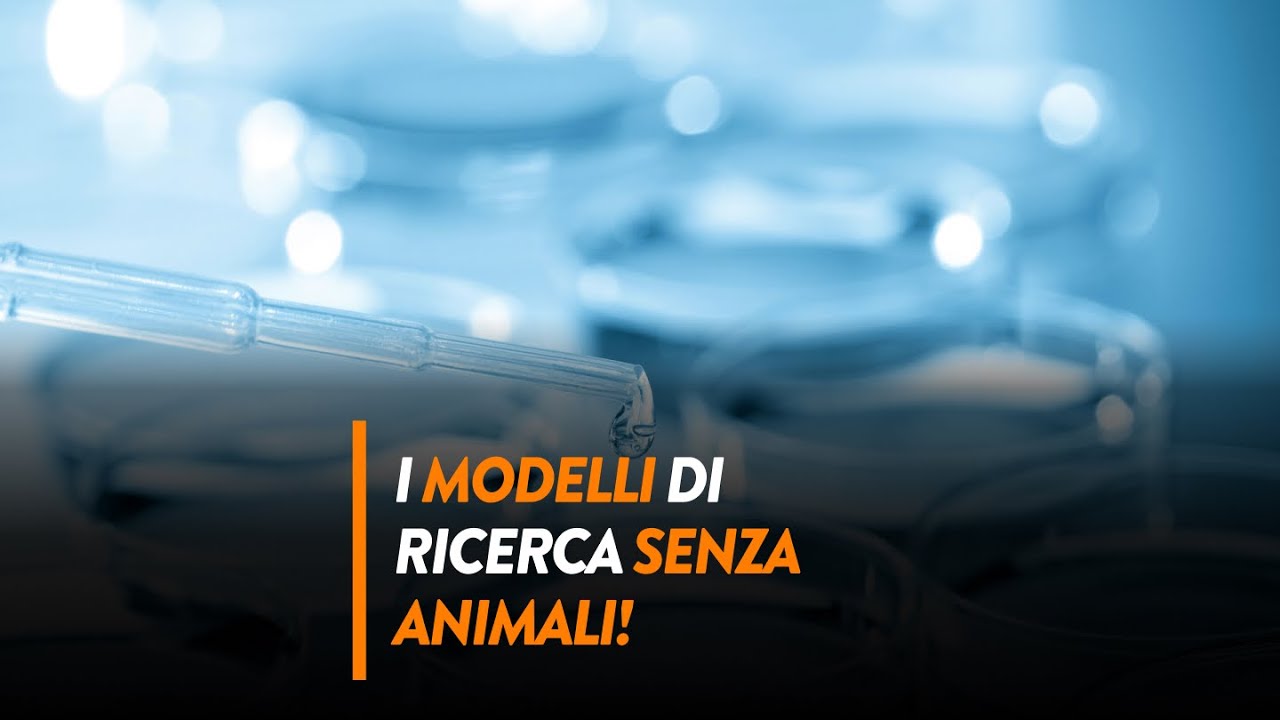 I modelli di ricerca senza animali: l'intervista al professor Thomas ...