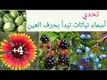تحدي أسماء نباتات تبدأ بحرف العين