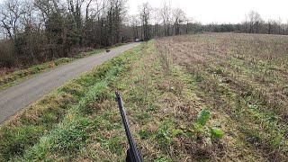 chasse sanglier , tir de deux bêtes rousses