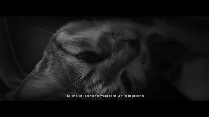 Lost Bodies & The Little Thieves   -  Tokolano