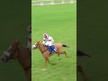Remarkable winner hits 999/1 in-running 😮