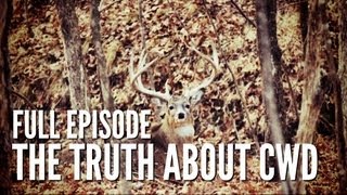 Documentary on Chronic Wasting Disease | Deer & Wildlife Stories Special Edition