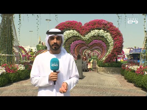 حديقة المعجزة في دبي تتحدى حرارة الجو بأنظمة ري ذكية للأزهار