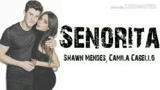 Караоке Shawn Mendes, Camila Cabello - Señorita (текст песни)