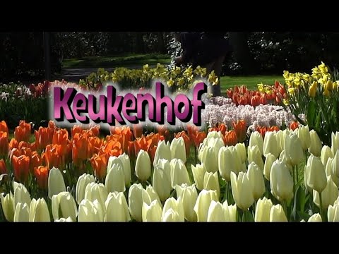 Парк Кёкенхоф (Keukenhof).