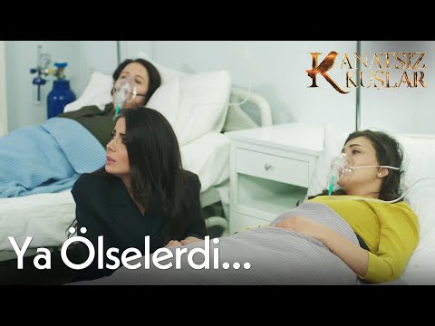 Nefise, Azime ve Cemre gözlerini açıyor! - Kanatsız Kuşlar🕊🕊