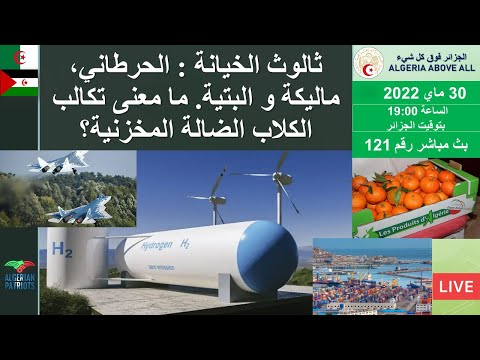  121 ما معنى تكالب الكلاب الضالة المخزنية
