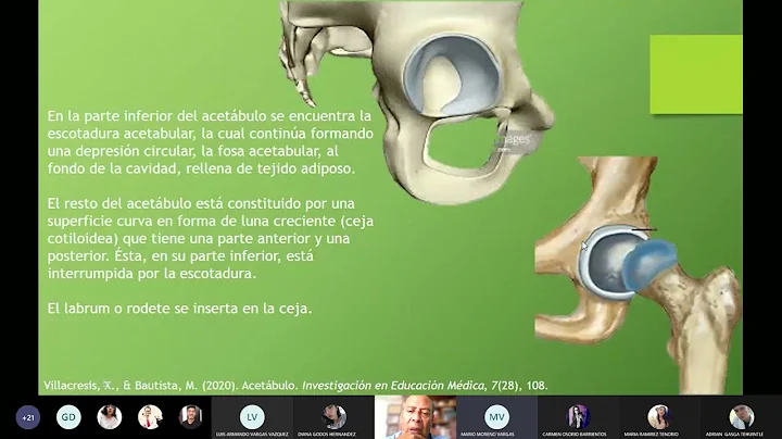 Clasificacin francis denis, de Meyerding y de Fran...