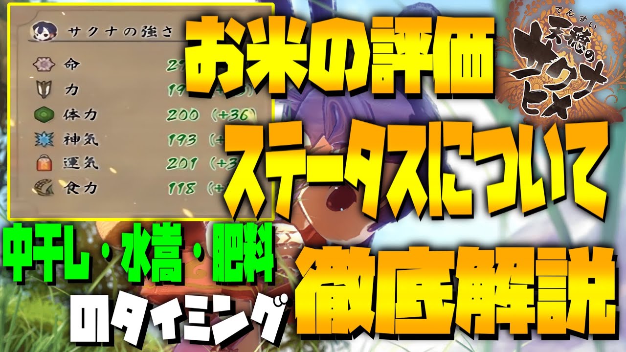 サクナヒメ攻略 お米に関する評価と各ステータスの上げ方 肥料や水嵩と中干しのタイミングについて徹底解説 天穂のサクナヒメ 天穂のサクナヒメ攻略 Ps4 Switch ゲーム攻略特報動画