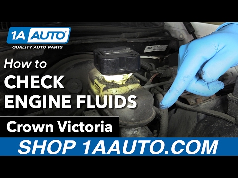 How to Check your Engine Fluids 98-12 Ford Crown Victoria