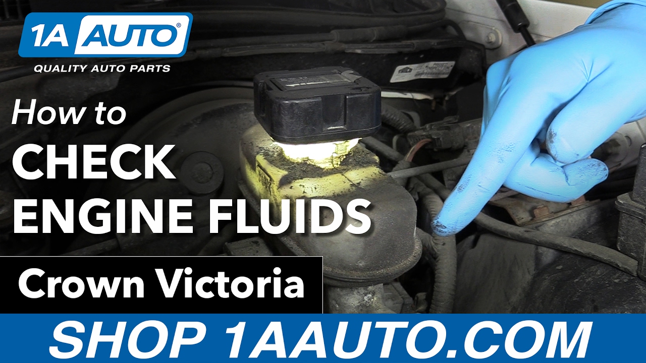 How to Check your Engine Fluids 98-12 Ford Crown Victoria - YouTube