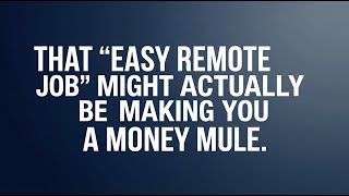 Mule account : The "Easy Money" Scam Explained