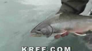 Kenai River Fly Fishing - Alaska