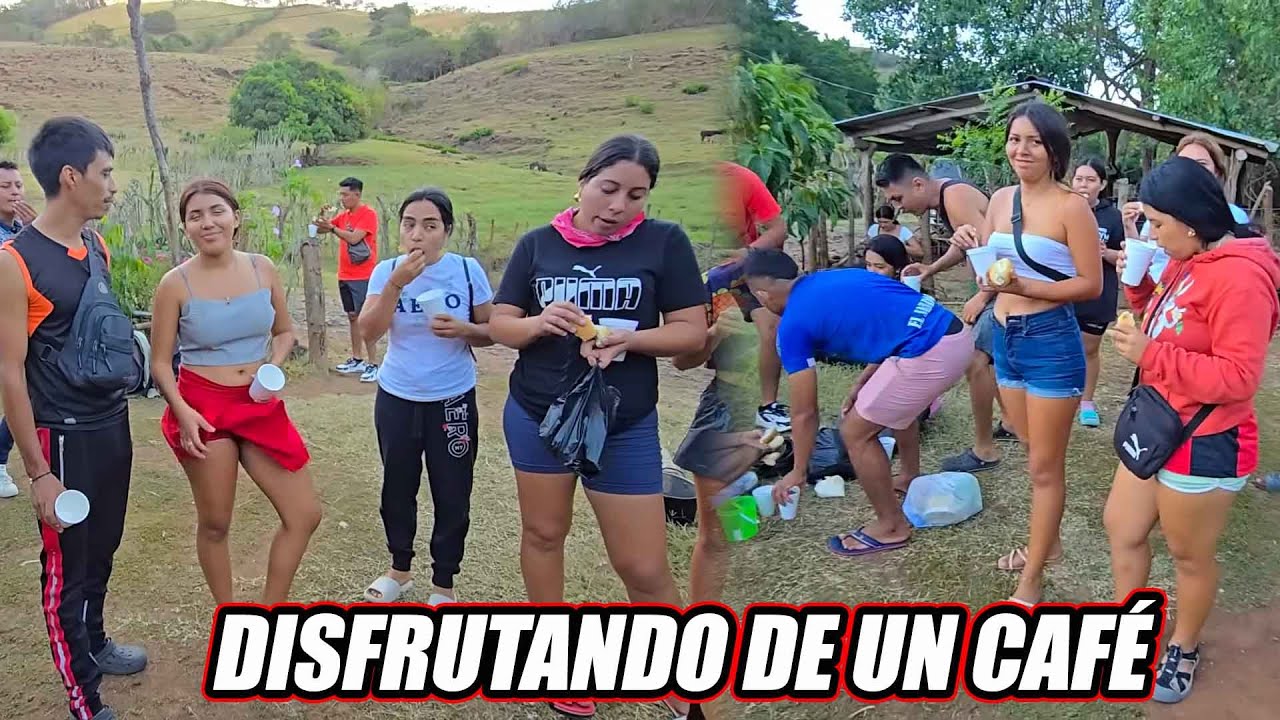 Llego Pavo con el pan para disfrutarlo con el café.