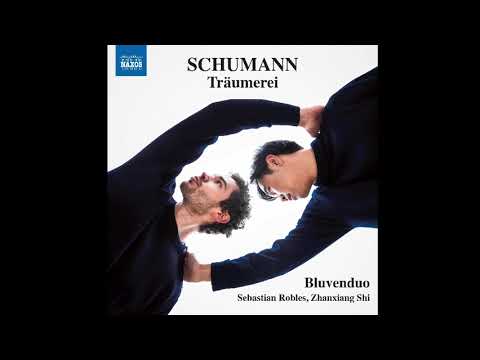 🎼 Schumann entre cuerdas: “Träumerei”, de “Kinderszenen”, Op. 15.
