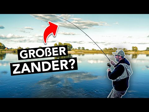 Video: Was bedeutet der Ausdruck Zander?