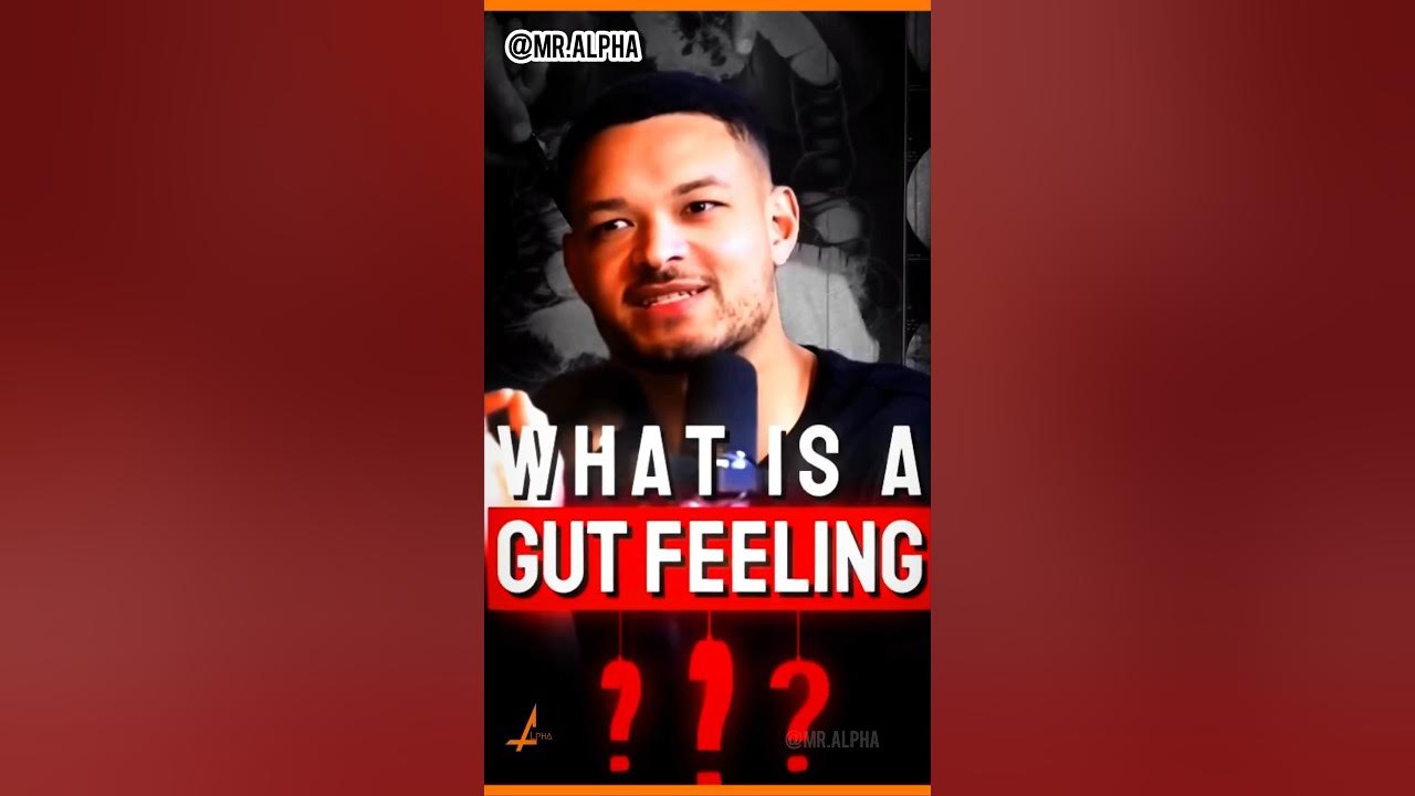 Did You Know What s The Meaning Of Gut Feeling shorts didyouknow did-you-know-what-s-the-meaning-of-gut-feeling-shorts-didyouknow