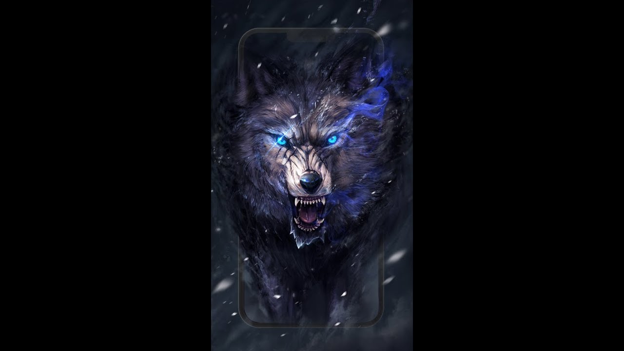 Living wolfs. Живые обои волк. Волк в капюшоне. Обои на андроид волк. Агрессивный волк.