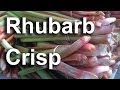 Easy Rhubarb Crisp Recipe - GardenFork #13