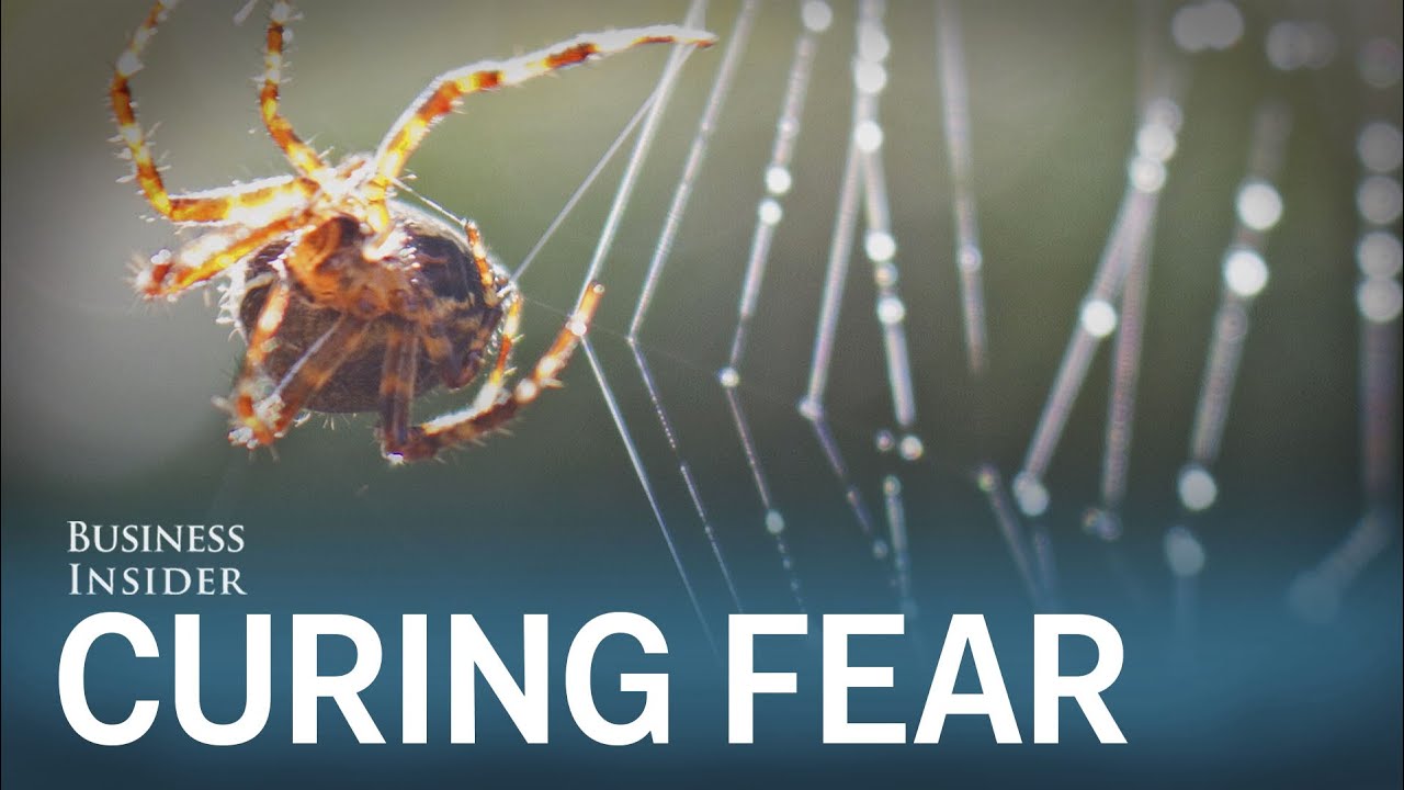 Experts say this common medication could help 'cure' fear YouTube