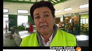 XX.AA.: reparten folletos feira Lalín 2