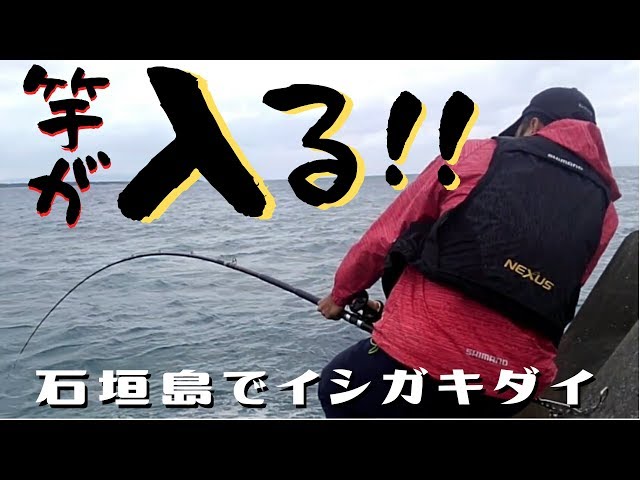 石垣島でイシガキダイを狙ってみた vol.2【ガラサー】 - YouTube