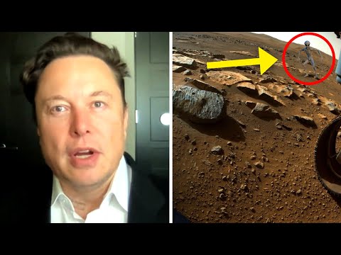 Elon Musk Just