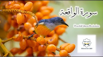 Surah Al-Waqiah | سورة الواقعة | Hidayah 360 | 4K