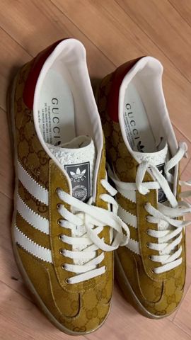 #GUCCI #GUCCIadidas #adidasGUCCI #adidas #GAZELLE #JNTV