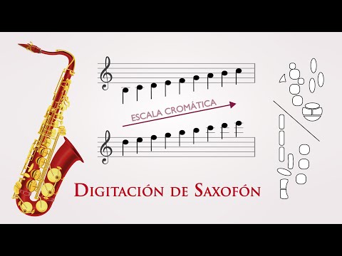 Digitacion De Saxofón Saxo Tenor O Soprano Como Tocar Saxo Escala Cromática 